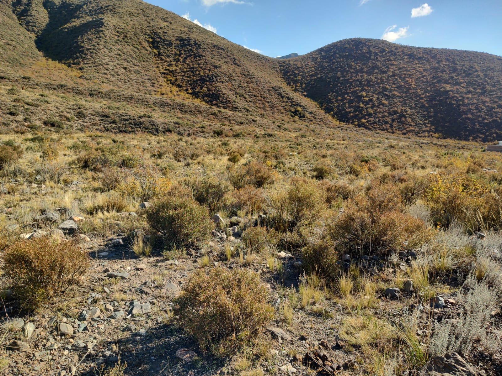Lote, potrerillos, piedras blancas, vistas